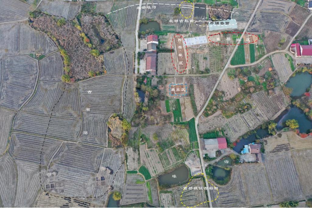 8000多年前就在种水稻冰球突破实锤！这里的先民(图2)