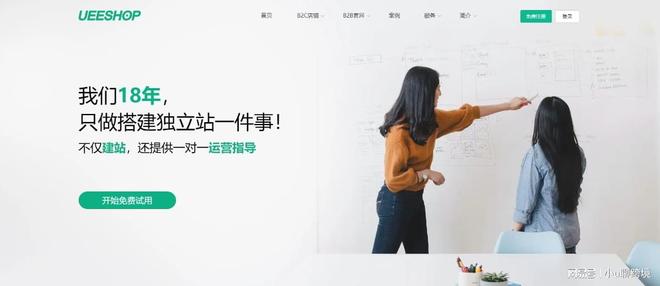 独立站都死在第一步？选平台避坑指南冰球突破游戏网站为什么大多数的情趣(图5)