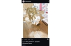 站情趣用品店前韩网傻眼：又出事了冰球突破